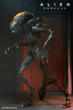 Alien: Romulus Action Figure & Accessory Set Bundle - NECA