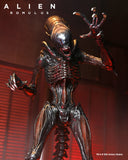 Alien: Romulus Action Figure & Accessory Set Bundle - NECA