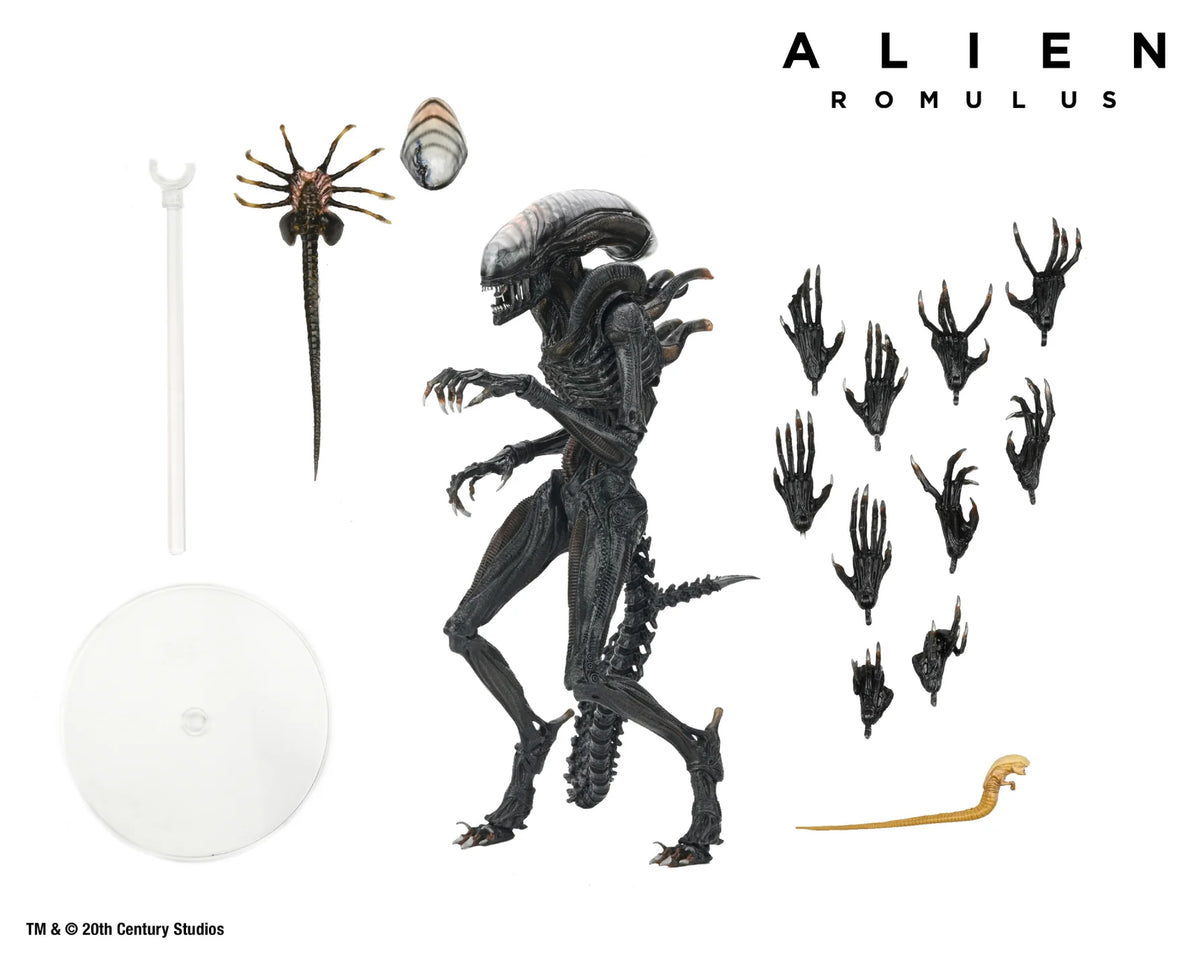 Alien: Romulus Ultimate Scorched Xenomorph 7