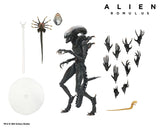 Alien: Romulus Action Figure & Accessory Set Bundle - NECA