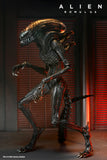 Alien: Romulus Action Figure & Accessory Set Bundle - NECA