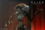 Alien: Romulus Action Figure & Accessory Set Bundle - NECA