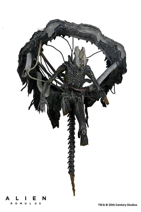 Alien: Romulus - Deluxe Suspended Lab Xenomorph XX121 7