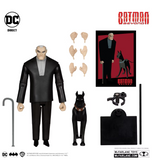 DC Comics Batman The Animated Series: Bruce Wayne & Ace (Batman Beyond) (Gold Label) 7" Inch Scale Action Figure - McFarlane Toys (SDCC Exclusive)