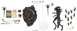 Alien: Romulus Action Figure & Accessory Set Bundle - NECA