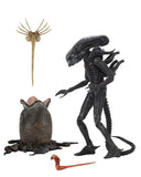 Alien Ultimate 40th Anniversary Big Chap 7" Inch Action Figure - NECA