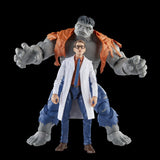 Marvel Legends Series Gray Hulk and Dr. Bruce Banner (2 Pack) 6" Inch Action Figures - Hasbro *SALE!*